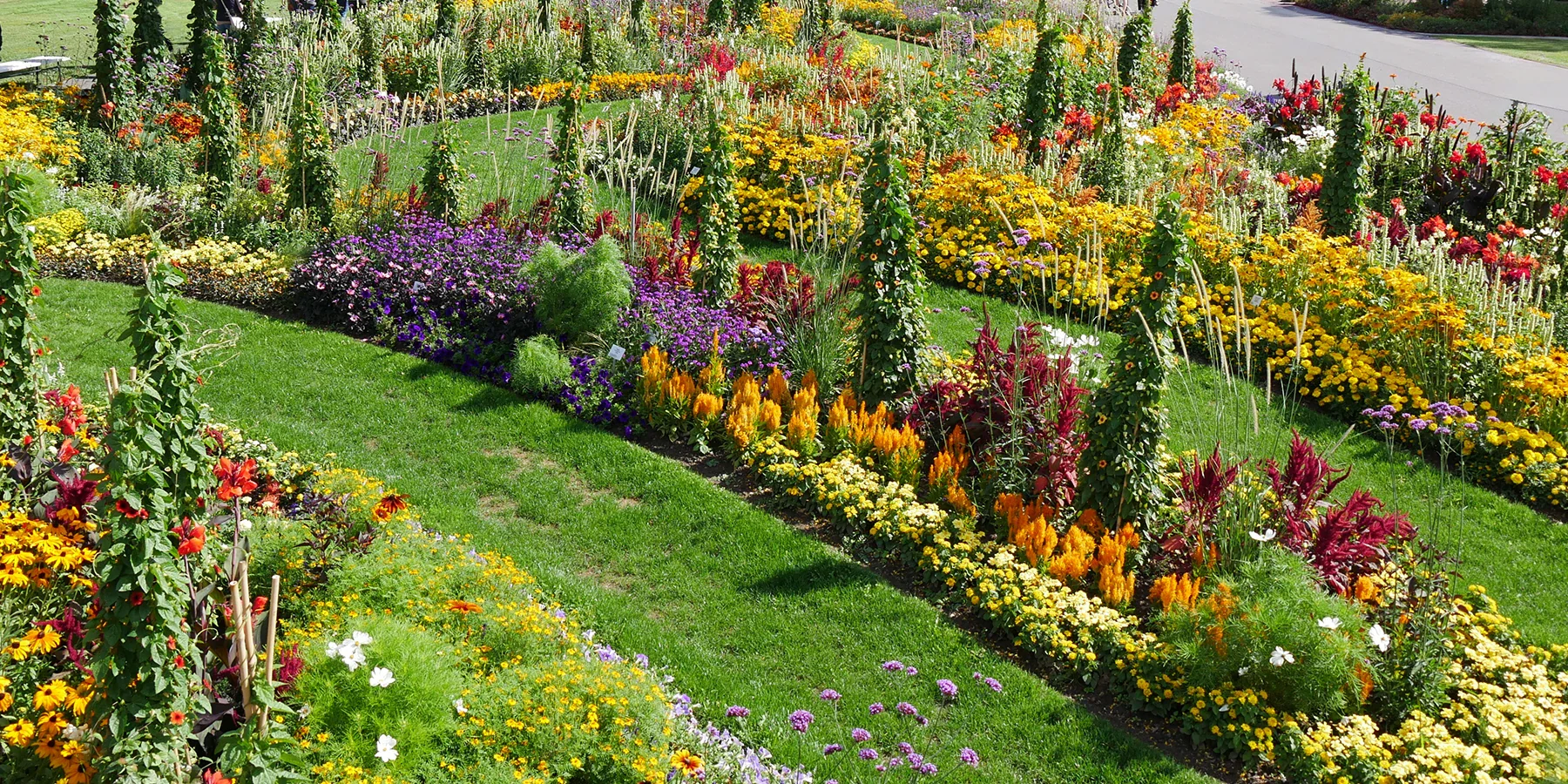 Breng uw huis en tuin tot leven
