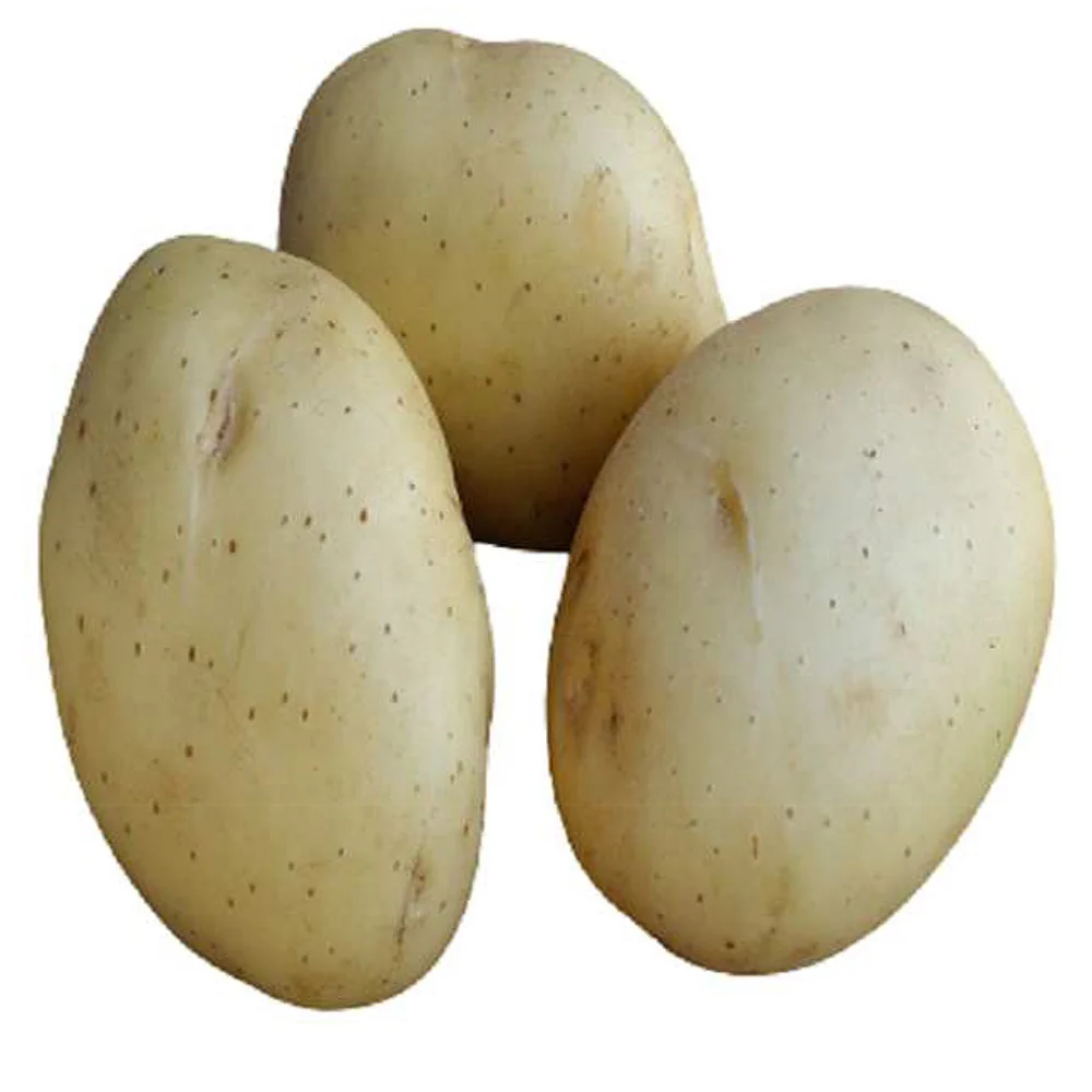 Productafbeelding 1