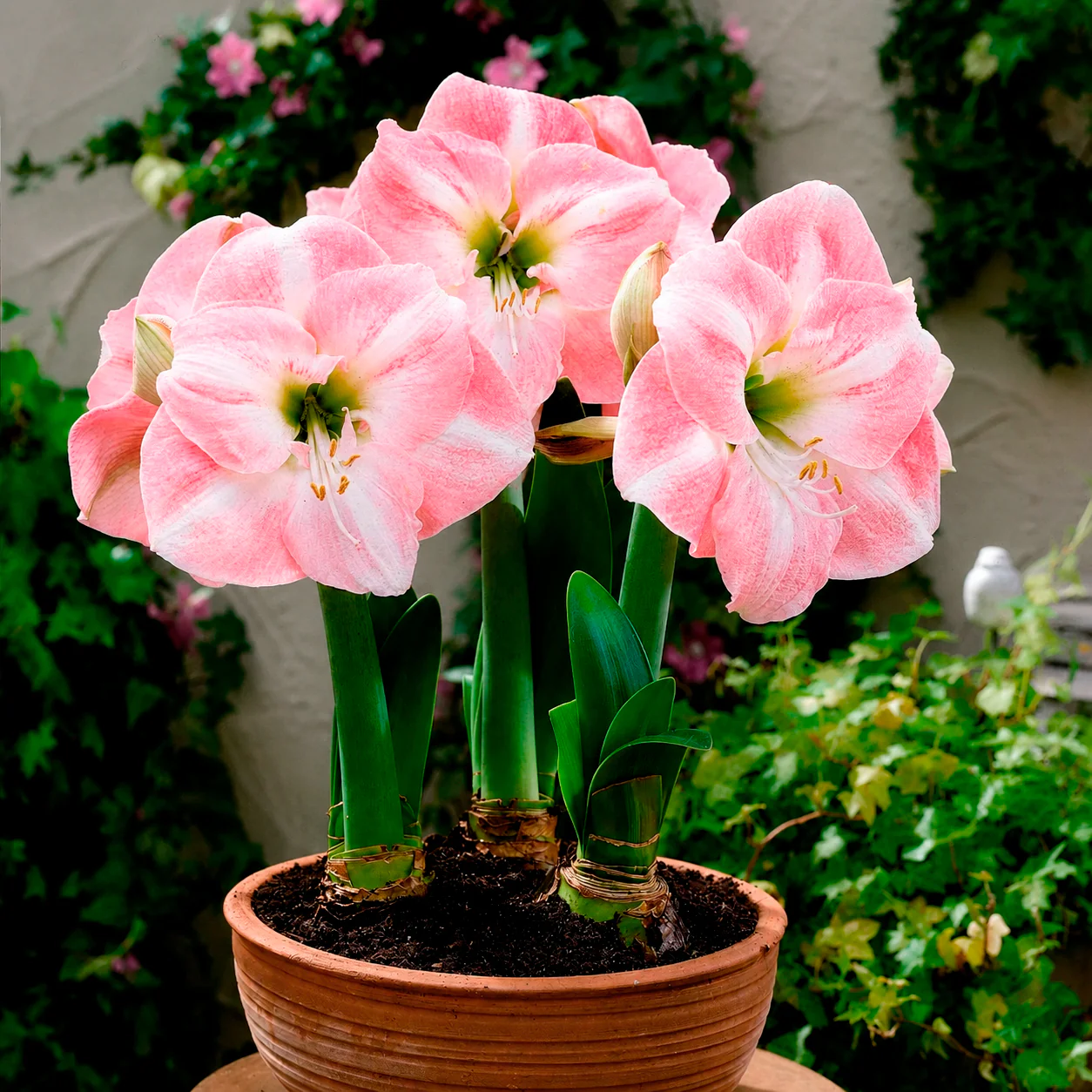 Miniatuur 2