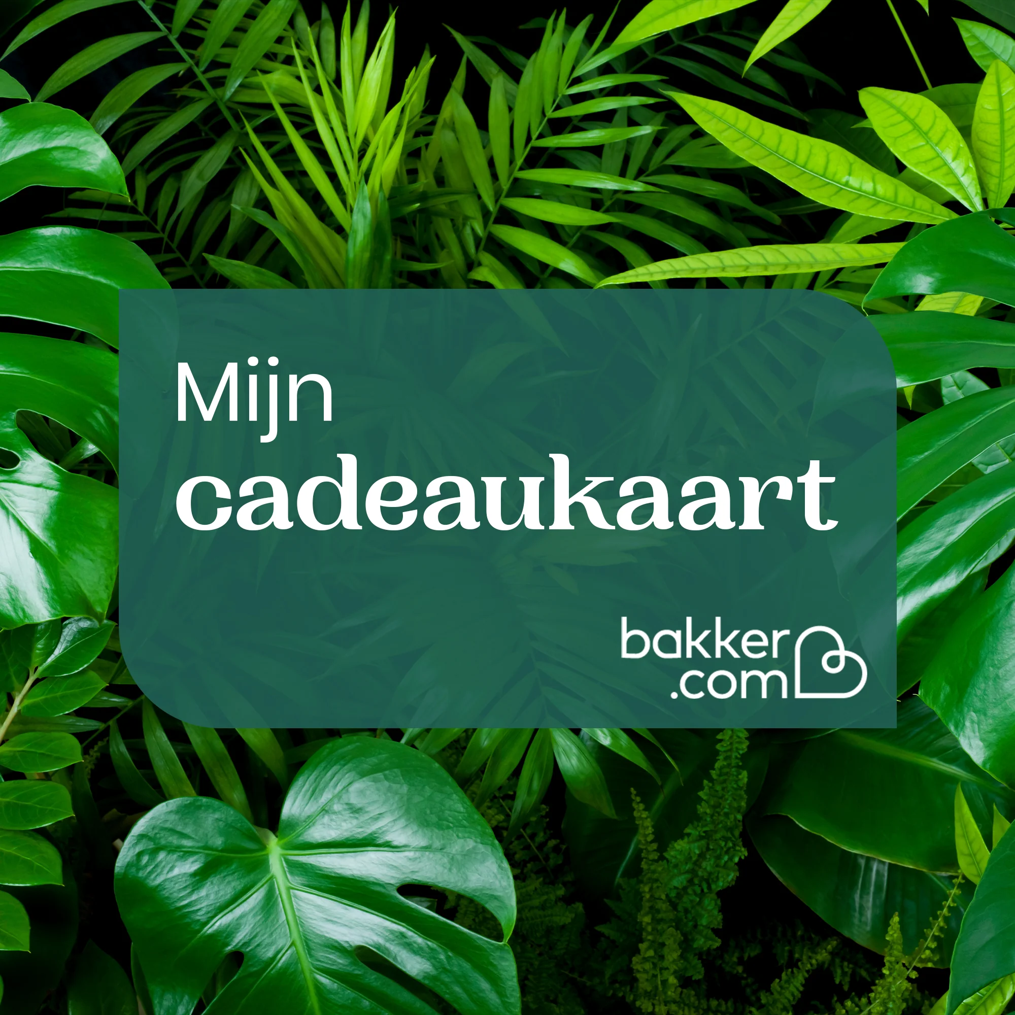 Productafbeelding 1