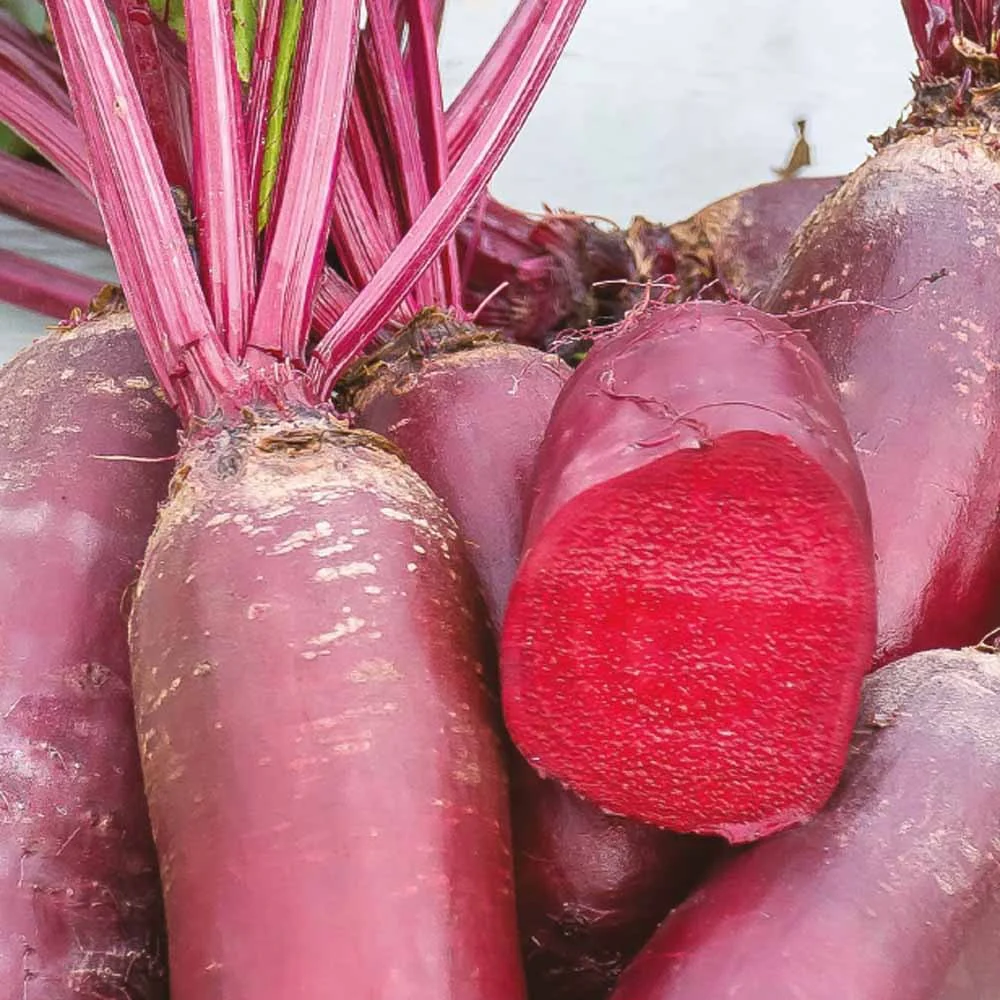 Productafbeelding 1